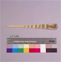 藏品(骨雕髮簪)的圖片